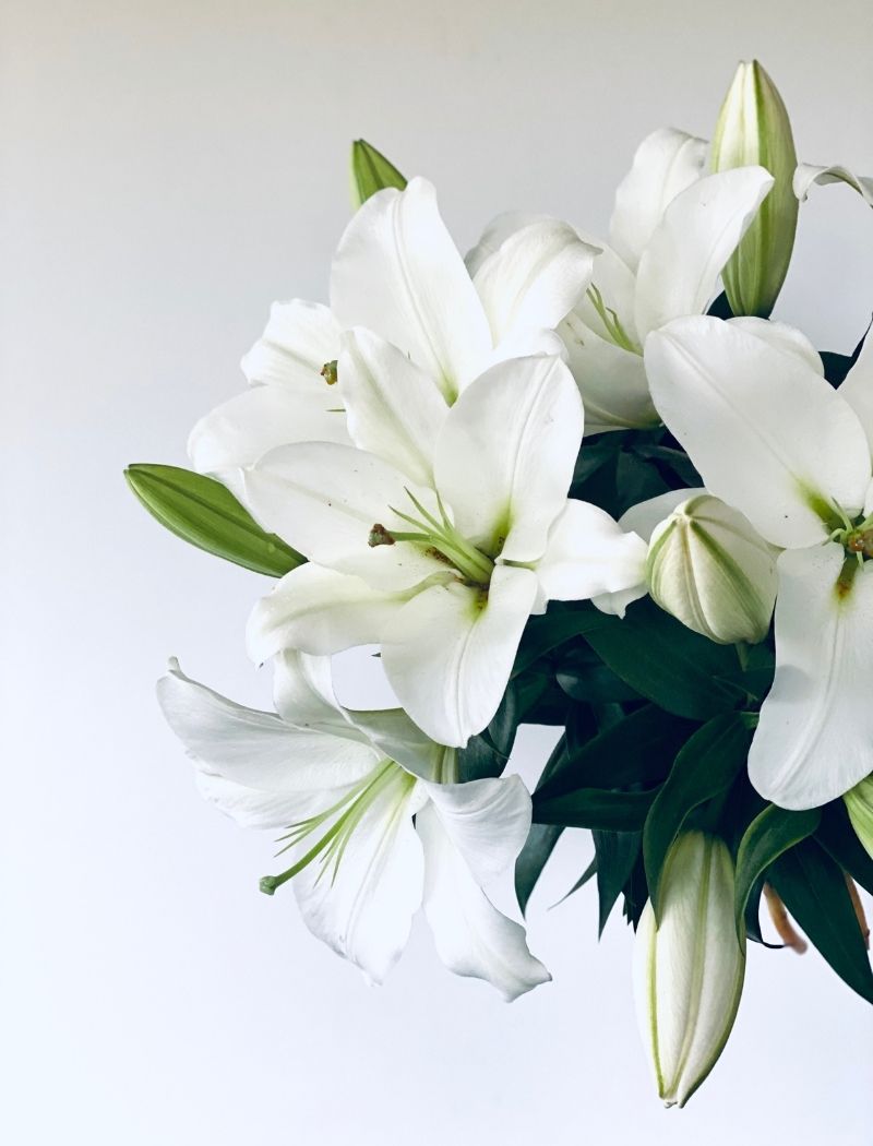 White Oriental Lilies - From Farm to Vase - Freshest Flower Delivery ...